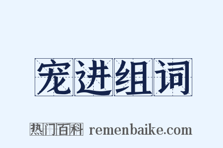宠进组词是什么意思的图片